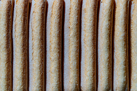 Closeup full frame overhead shot of Italian ladyfinger biscuits sprinkled with sugar arranged vertically in row for making classic tiramisu cake dessert. Savoiardi ladyfingers biscuits pattern