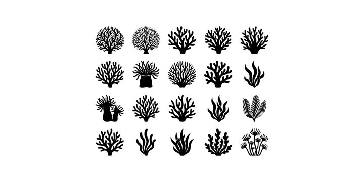 Diverse collection of black silhouette coral and seaweed vector illustrations for ocean themed designs.