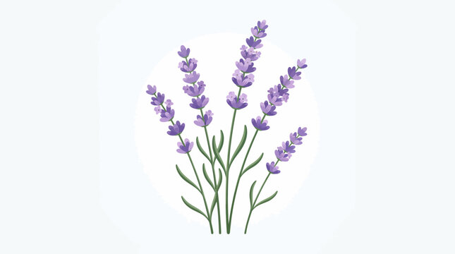 Stylized Lavender Sprigs Vector Illustration