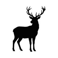 Fototapeta premium Black silhouette deer with large antlers standing Vector