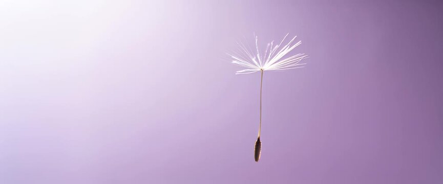 Close-up shot of a dandelion seed floating against a soft purple pastel background, showcasing its delicate structure and graceful nature detail.