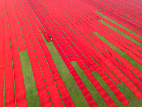 Aerial view of long strips of vibrant red fabric laid out to dry on a lush green field with a worker adjusting the material in Narsingdi, Dhaka Division, Bangladesh.