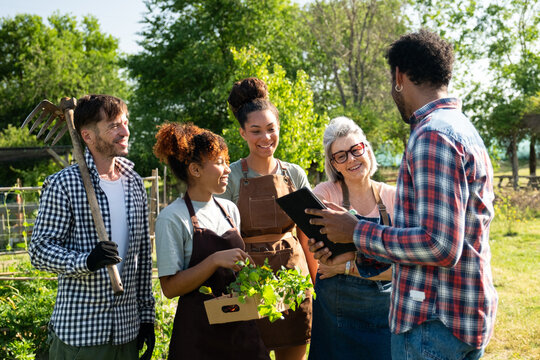 Group of multi ethnic people, wearing aprons, holding greens and a tablet, working together in a garden