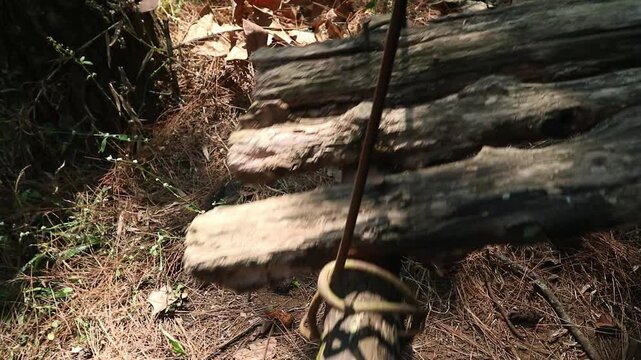 A close up view of a rustic wooden bridge in the forest. perfect for concepts of childhood nostalgia, relaxation, freedom, and peaceful leisure.