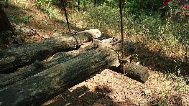 A rustic wooden swing hanging in a lush green forest setting. perfect for concepts of childhood nostalgia, relaxation, freedom, and peaceful leisure.