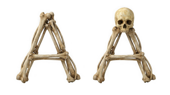 Letter a made of human bones, one version with a skull, isolated on transparent background
