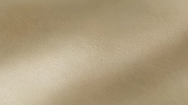Soft light moving across a warm beige background with a subtle, delicate texture, creating a calm and elegant motion graphic perfect for minimalist branding and peaceful concepts