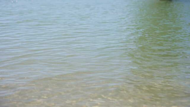 Gentle waves washing over a sandy bottom, creating a serene and tranquil background. Soothing ripples on the clear water surface reflecting the sunlight on a summer day