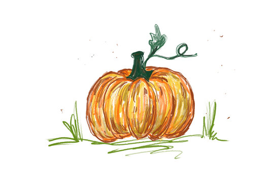 Hand drawn pumpkin