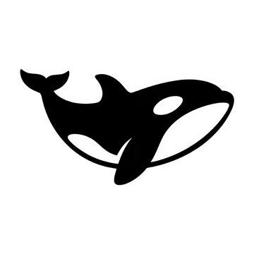 A black and white killer whale orca illustration isolated on white background.