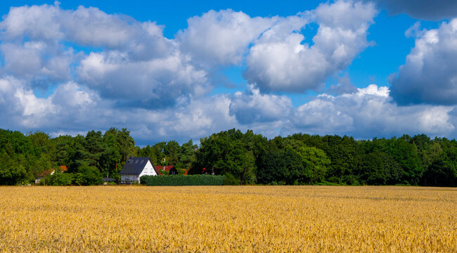 Kornfelder und Strohballen im Land Brandenburg, Landwirtschaft und Ackerbau, Neuruppin, Brandenburg, Deutschland