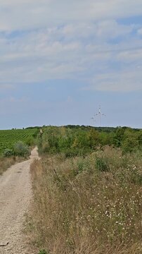 Rural landscape with a dirt road and wind turbines