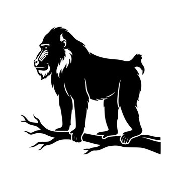 Mandril silhouette standing on branch vector illustration