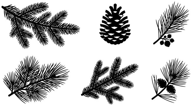 Set of black pine and spruce tree branch silhouettes with pinecones for winter holiday design elements