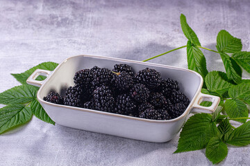 Fresh blackberries in ceramic dish with green leaves on textured gray background © Andrei Starostin