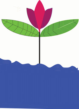 flower and pink color and gren 
