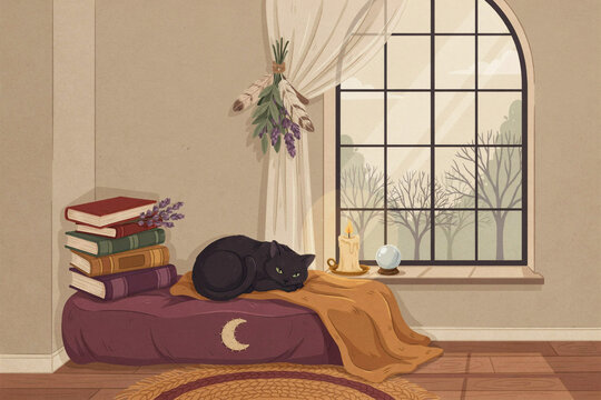 Cozy bedroom still life with sleeping black cat on purple blanket, stack of books and moon motif by sunlit window, warm autumn home decor