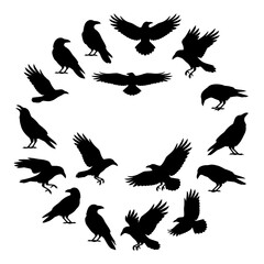 Naklejka premium Dark Raven Silhouettes Vector Collection, Spooky Crow Bird Set for Halloween, Gothic, Witchcraft and Grim Design Art isolated on White Background Halloween silhouette