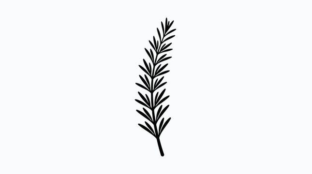 A hand drawn herbal branch sketch representing organic seasoning and culinary rosemary flavor for cooking recipes and menu designs showing natural foliage and botanical health benefits