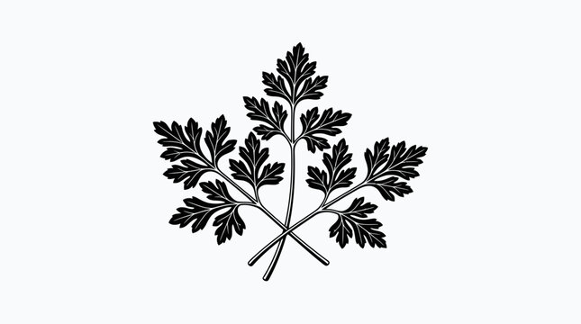 Decorative sprigs of dark green foliage arranged artistically with delicate segmented leaves creating an appealing natural emblem perfect for culinary and botanical themes presentation