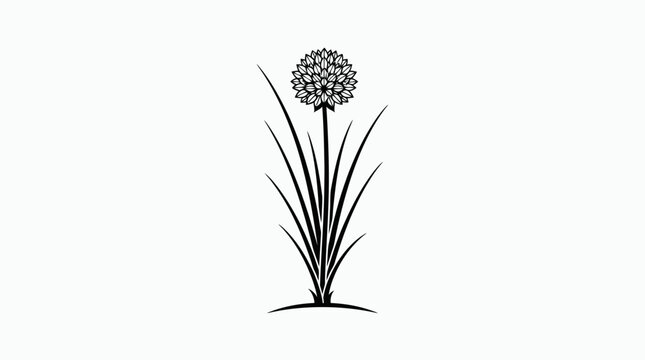 A hand drawn botanical line art drawing showcasing a blooming allium flower with tall leaves in monochrome ink style suitable for various creative design projects and nature themes