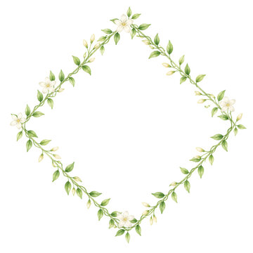 Jasmine vine diamond watercolor frame