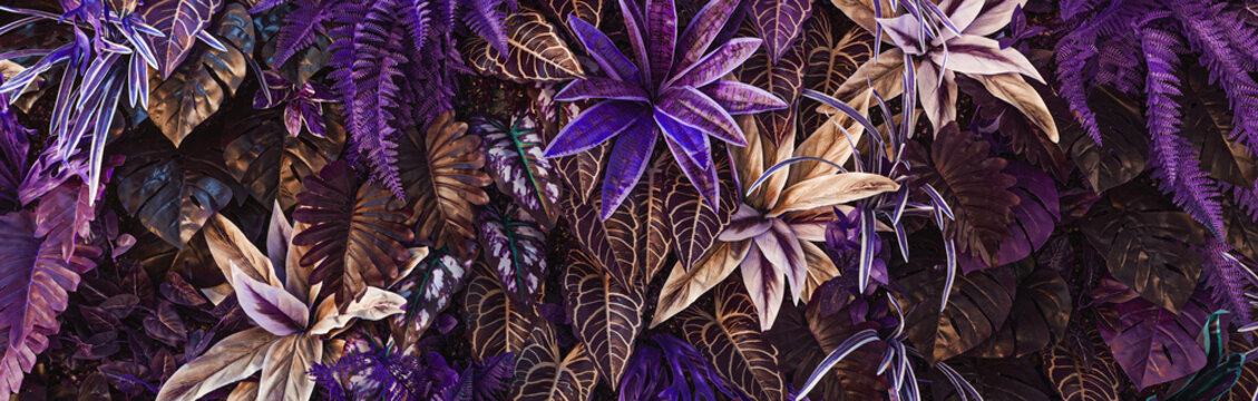 Full Frame of Green Leaves Pattern Background, Nature Lush Foliage Leaf Texture, tropical leaf