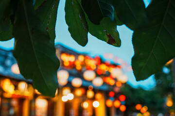 夕暮れのホイアン旧市街を背景に手前の葉へピントを合わせた幻想的な玉ボケとランタンの光 © YUSUKE SAKAI
