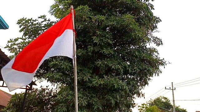 Indonesian red and white flag waving in the wind