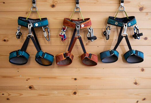 Three colorful climbing harnesses with carabiners hanging on a natural wooden wall, adventure and safety equipment, Each harness includes carabiners and other safety equipment