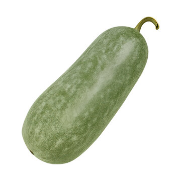 PNG Green winter melon vegetable
