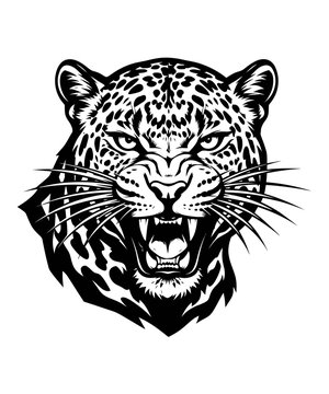 Aggressive leopard head illustration in black and white style for sports mascot or tattoo design