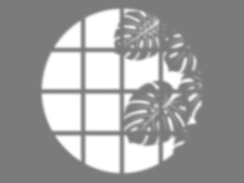 Minimalist circular window shadow overlay with tropical monstera plant leaves casting natural sunlight patterns
