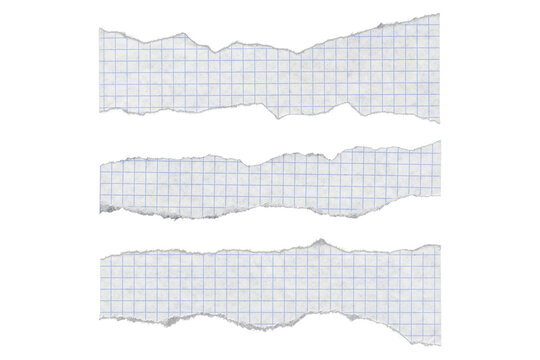 Three irregular torn graph paper strips on transparent background