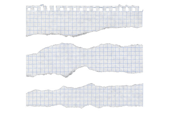 Torn graph paper strips with punched edge on transparent background