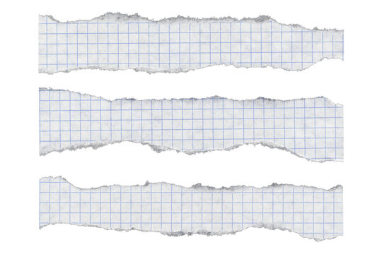 Three narrow torn graph paper strips on transparent background