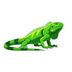 Fototapeta premium Vibrant Green Iguana Isolated Vector