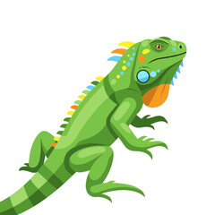 Fototapeta premium Vibrant Green Iguana Illustration Isolated