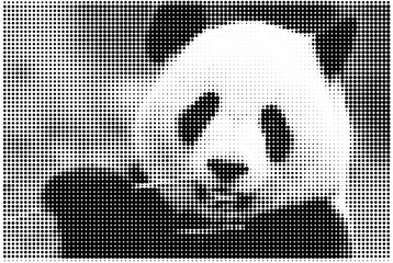 Giant panda portrait rendered in a creative digital halftone vector graphic style featuring stark black and white circular patterns that form an intricate artistic representation of a fluffy wild bear © Saif