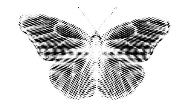 Elegant butterfly vector illustration featuring detailed halftone patterns and crisp monochrome ink style lines displayed against a clean white background suitable for artistic design projects 