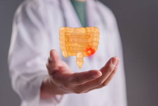 Medical professional analyzing digestive system colon disease inflammation workflow digital healthcare virtual anatomy presentation treatment planning