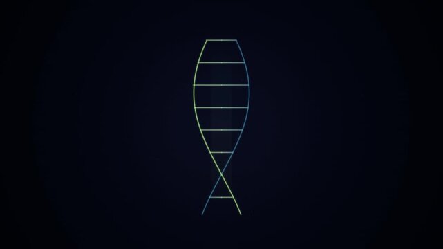 Minimalist glowing line art of a fish skeleton or leaf structure on a dark gradient background