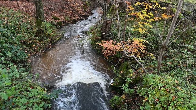 Bach im Herbstwald