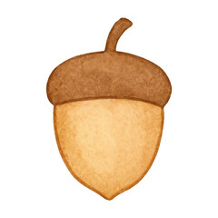 Fototapeta premium PNG Watercolor acorn illustration for autumn.