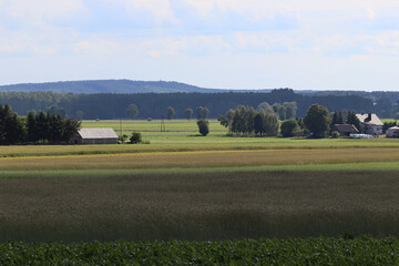 Fototapeta premium Rural landscape with green agricultural fields and distant village houses under cloudy sky