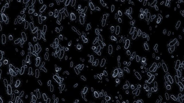 Dynamic background of bacteria and viruses suitable for medical research