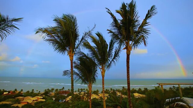 Stunning rainbow over the ocean at sunset, framed by tropical palm trees in Arraial d'Ajuda, Bahia, Brazil. A breathtaking and peaceful coastal landscape.