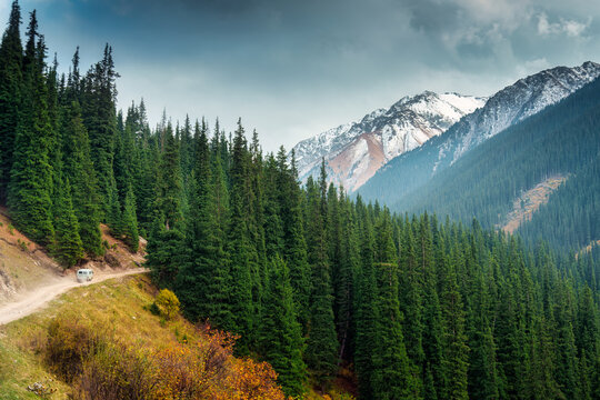 Van driving on dusty mountain road through pine forest with snowy peak background