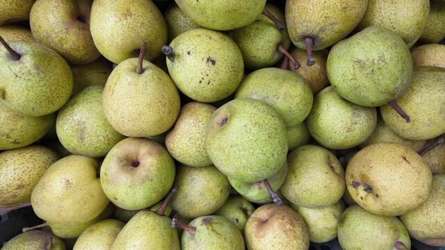 Pear Fruits , fall in slow motion, gren fresh pears