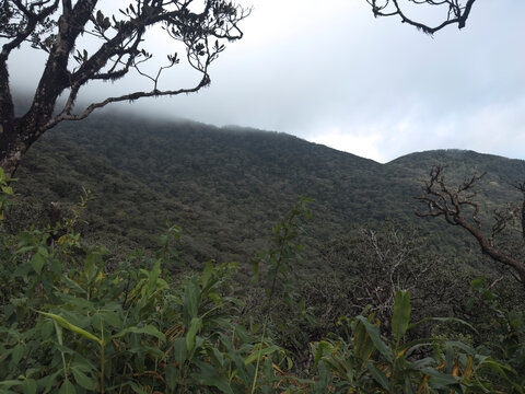 Misty forested mountain ridge viewed from the Sri Pada hiking trail
